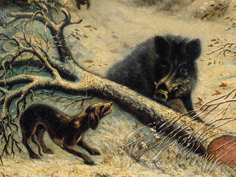 Wild boar and hunting dog