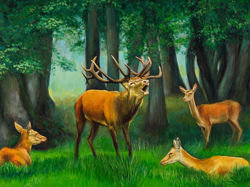 Red deer family in heat