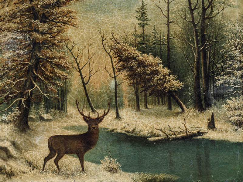 Red deer in winter by the lake