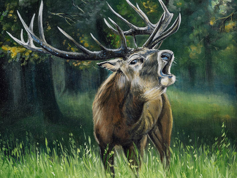 Painting of red deer in heat
