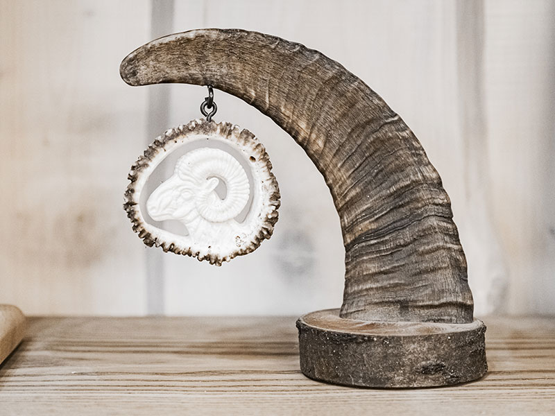 Ružica na mufloňom roh