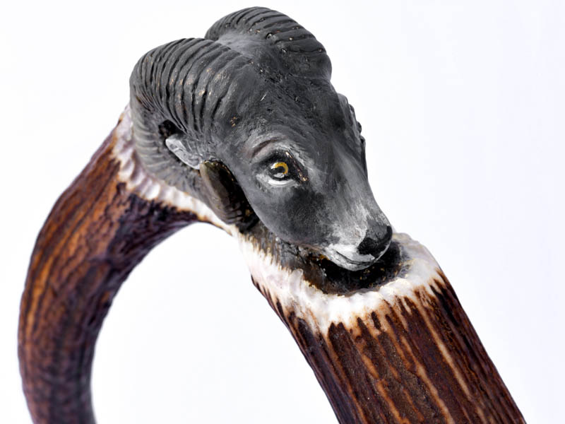 Mouflon carving